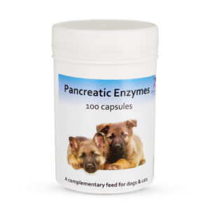 pancreatic enzymes