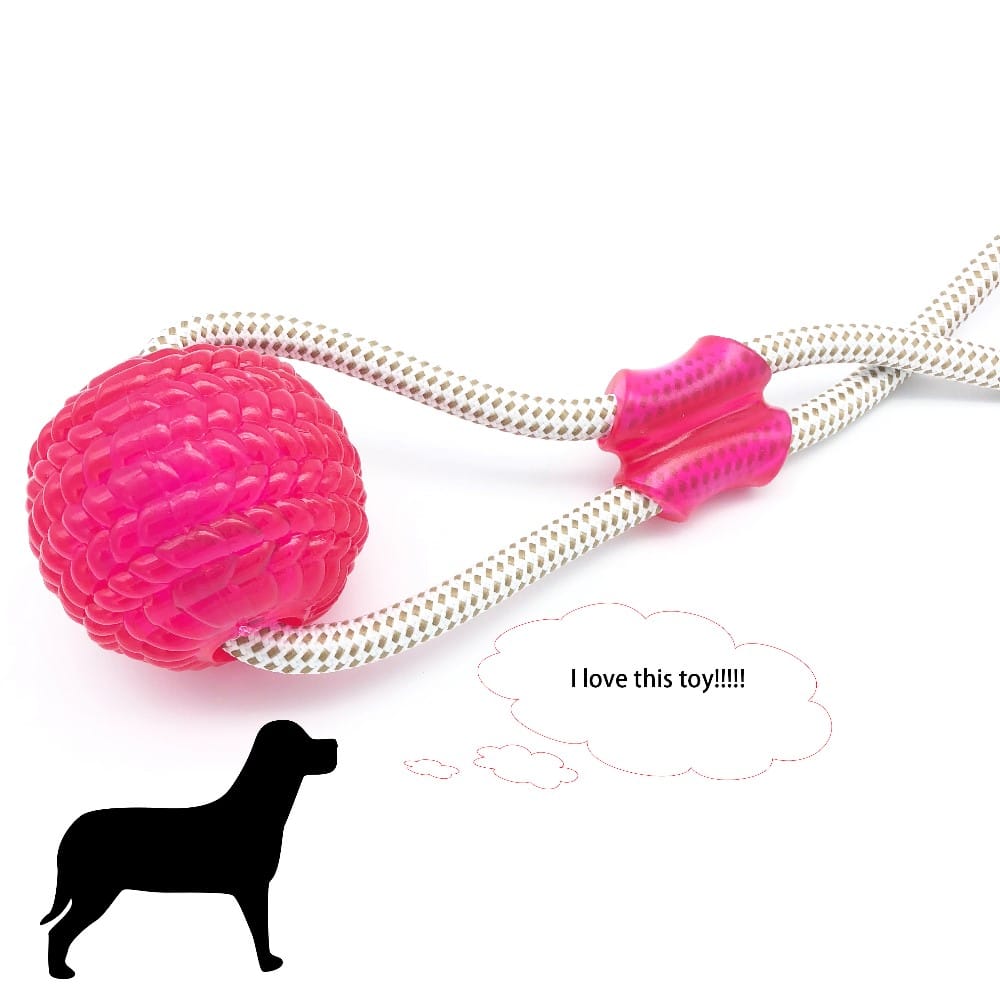Dog’s tug-ball toy