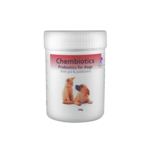Probiotics for dogs
