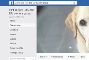 facebook group