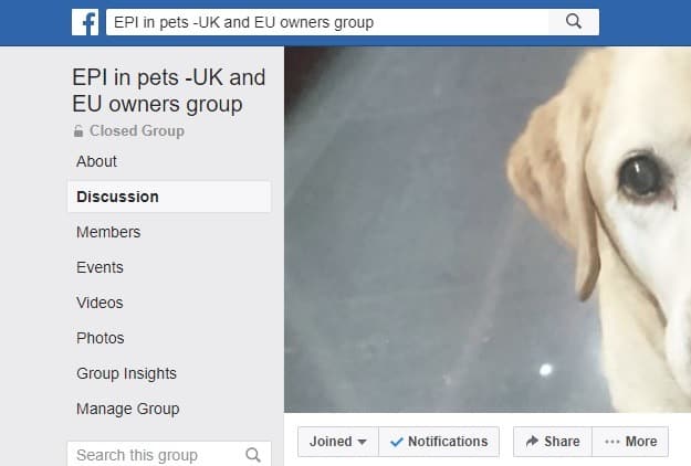 Facebook group – pets with EPI